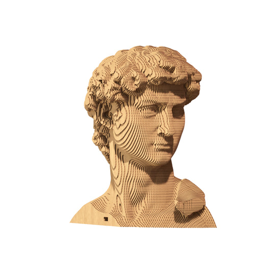 DAVID Cartonic 3D Puzzle