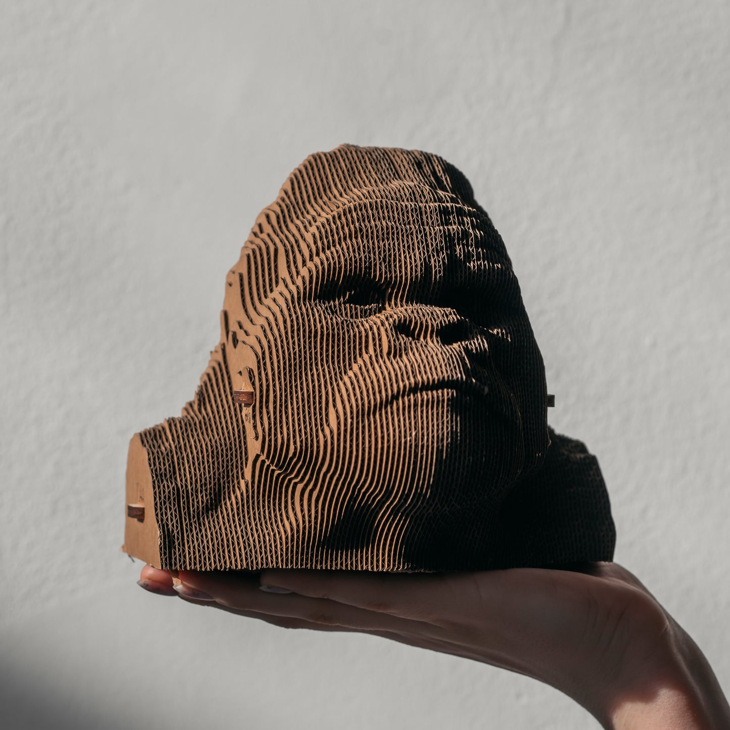 GORILLA Cartonic 3D Puzzle