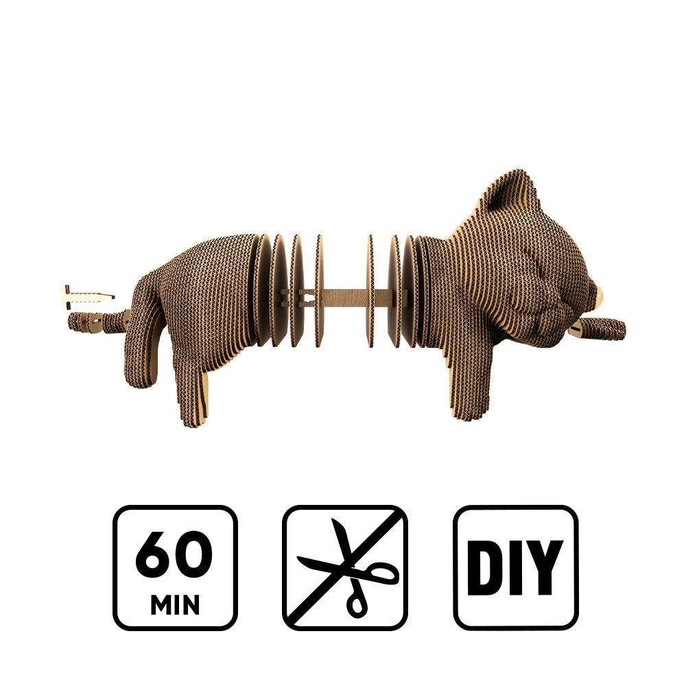 SLEEPY KITTEN Cartonic 3D Puzzle