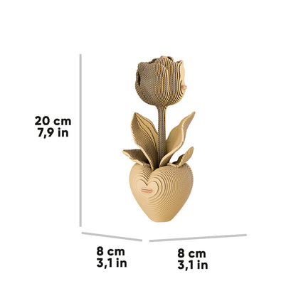 TULIP Cartonic Collectible 3D Puzzle