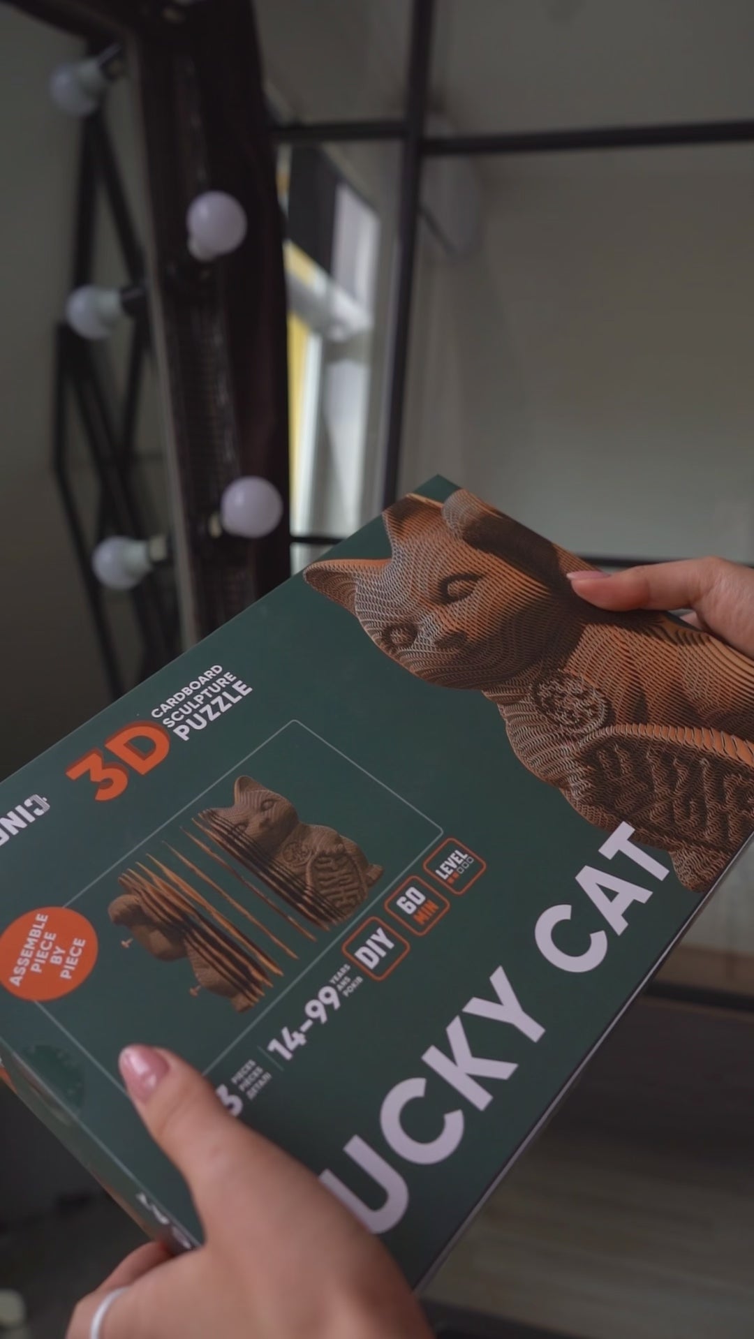 Lacky cat ページ il_340x270.6459221974_qd1t.jpg