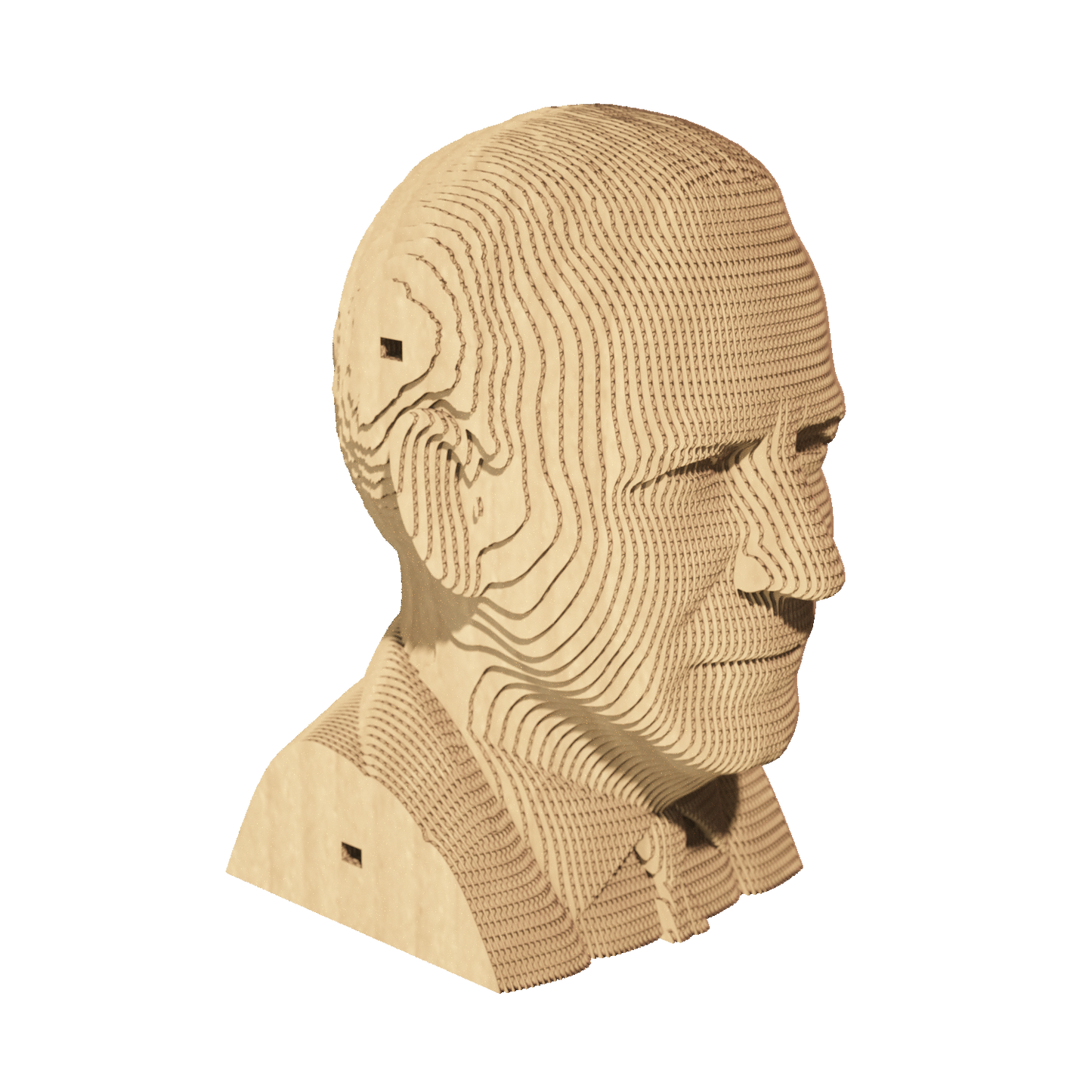 JOE BIDEN Cartonic 3D Puzzle