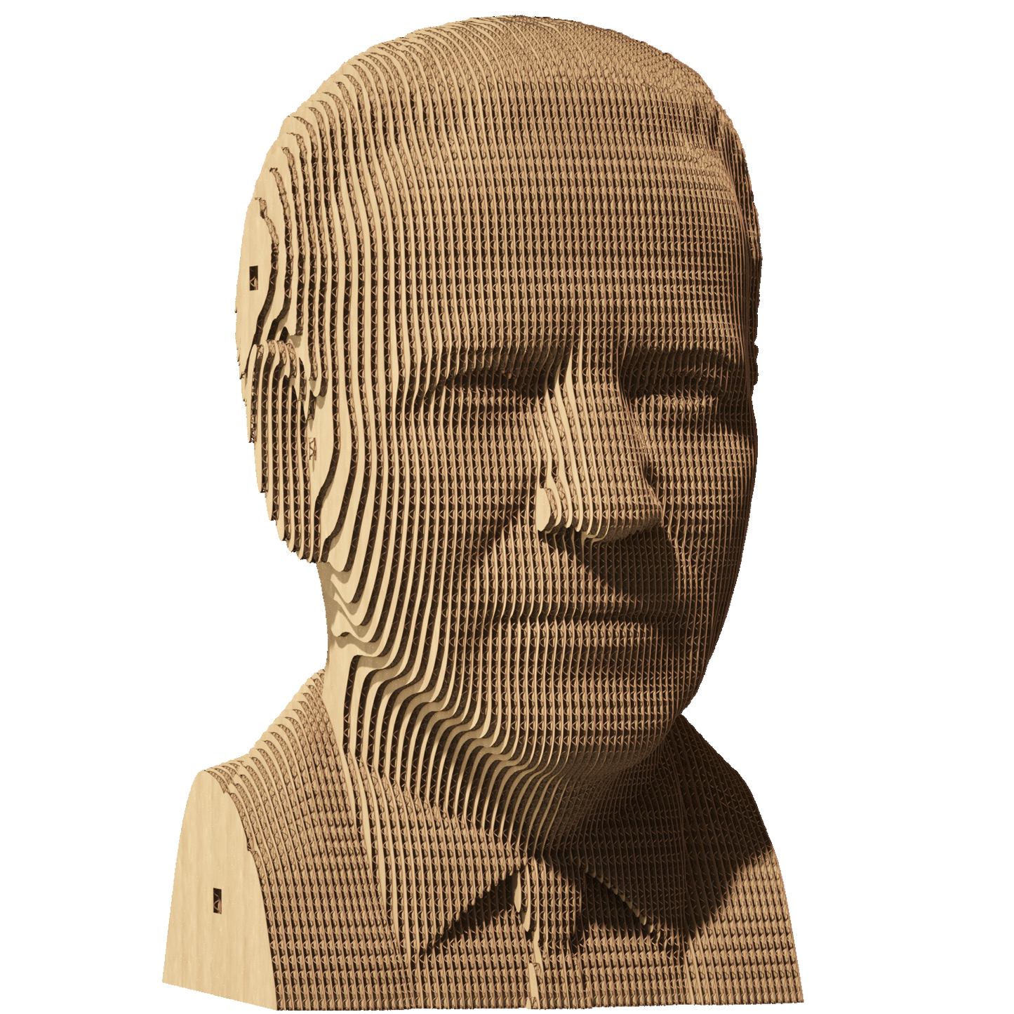 JOE BIDEN Cartonic 3D Puzzle