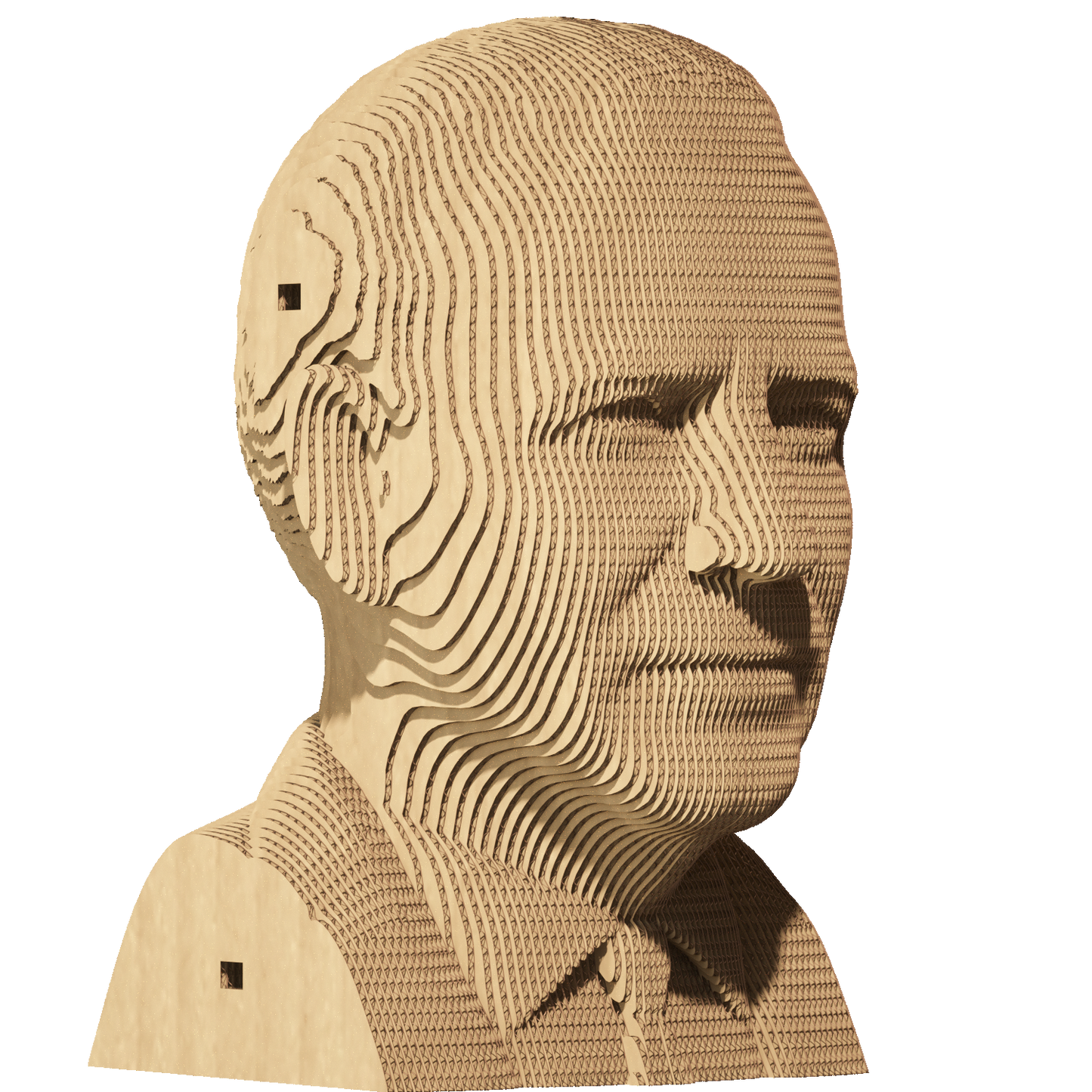 JOE BIDEN Cartonic 3D Puzzle