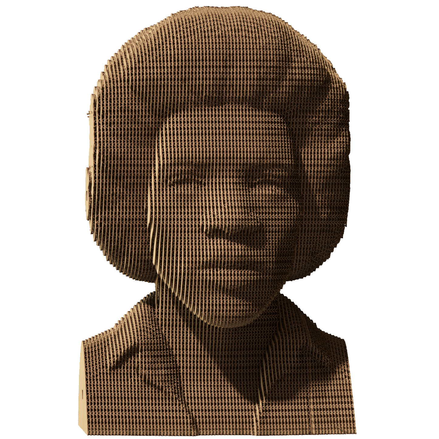 JIMI HENDRIX Cartonic 3D Puzzle