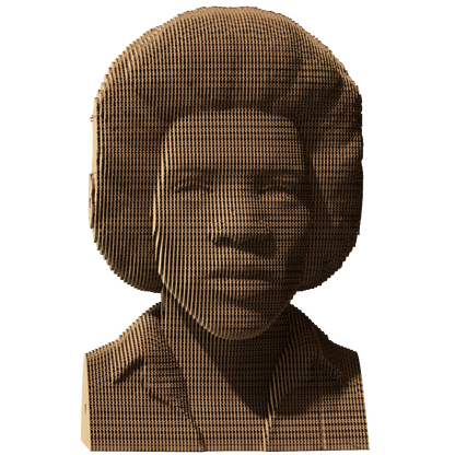 JIMI HENDRIX Cartonic 3D Puzzle