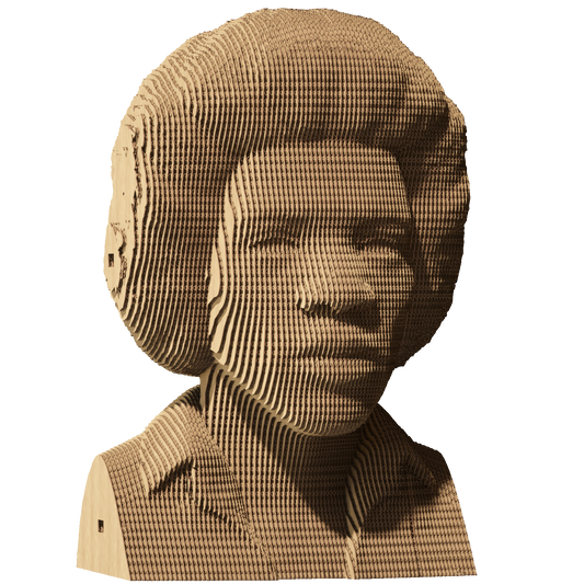 JIMI HENDRIX Cartonic 3D Puzzle