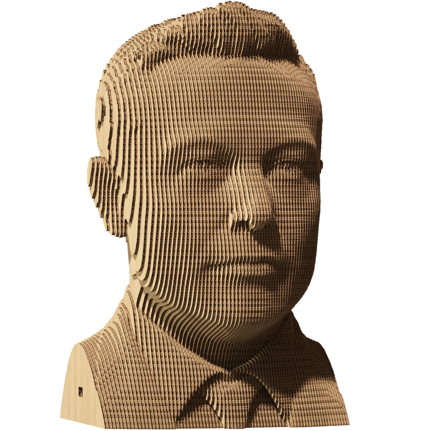 ELON MUSK Cartonic 3D Puzzle