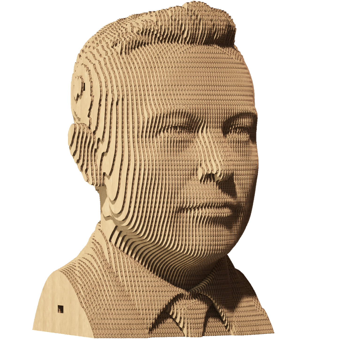 ELON MUSK Cartonic 3D Puzzle