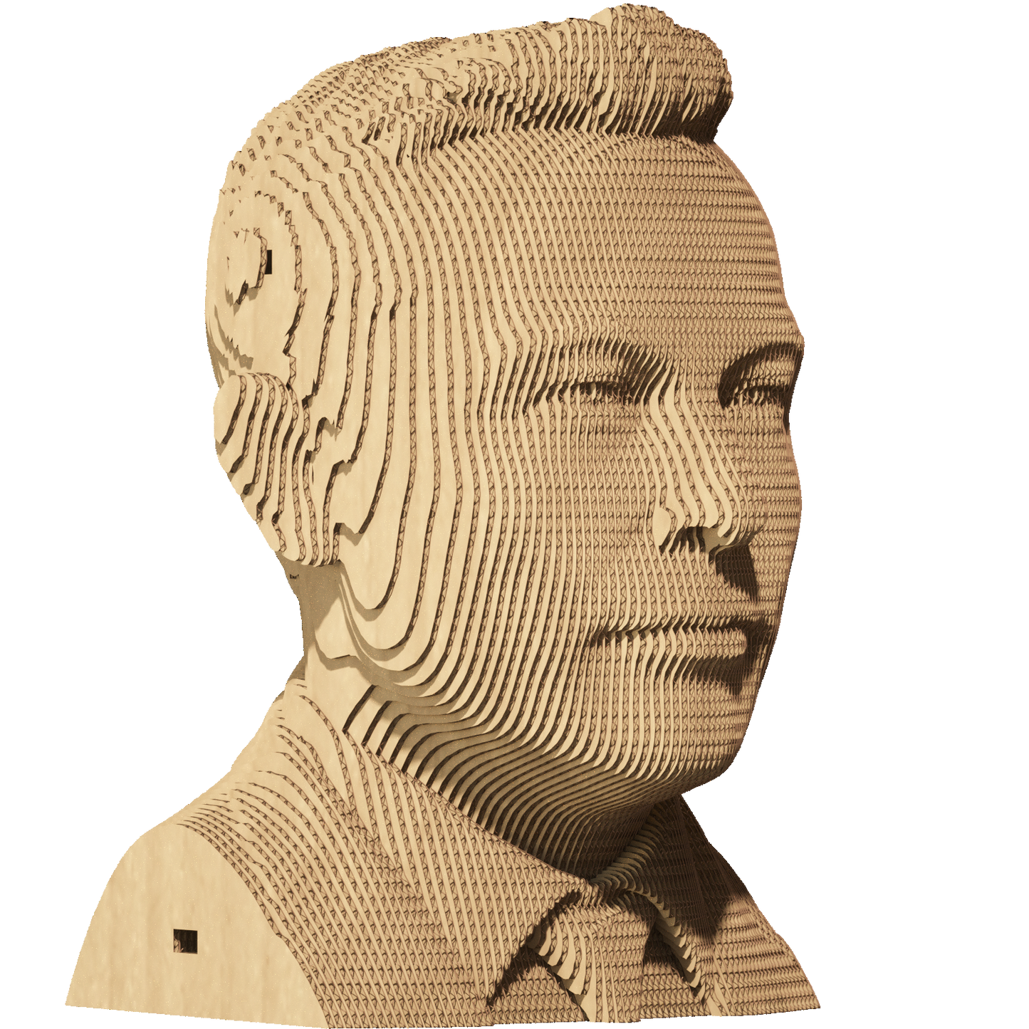 ELON MUSK Cartonic 3D Puzzle