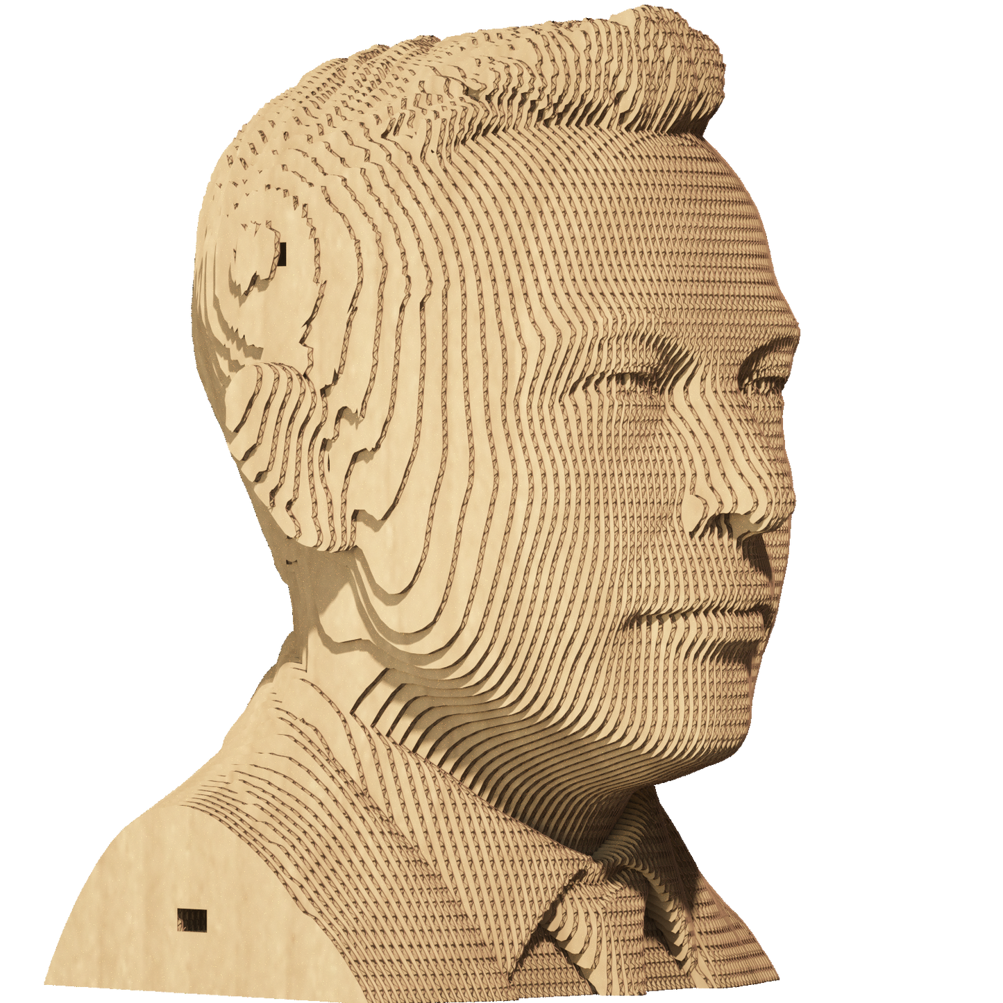 ELON MUSK Cartonic 3D Puzzle