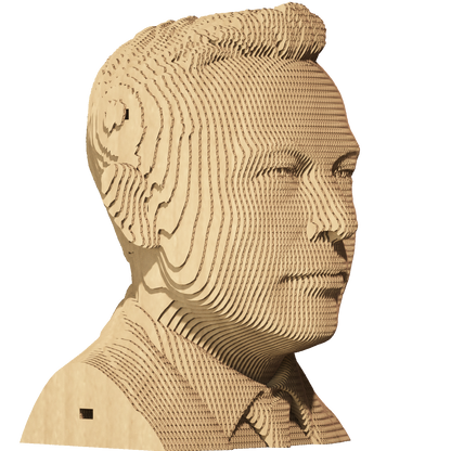 ELON MUSK Cartonic 3D Puzzle